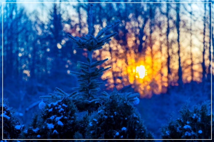 I've got my love to keep me warm (and a little light, too)