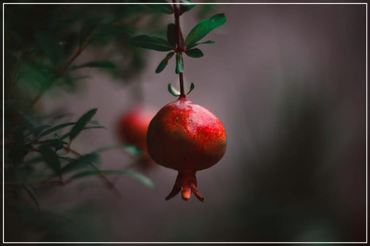 Follow me down, there might be joy at the end