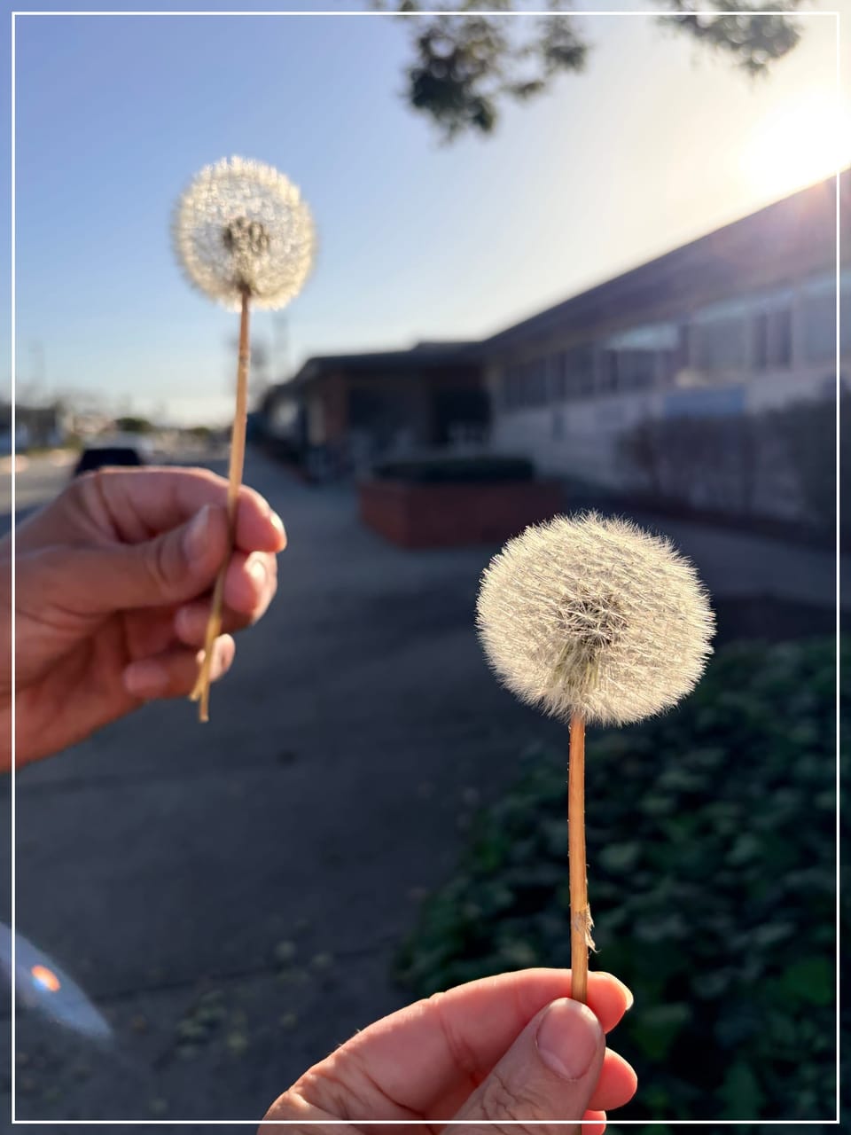 This Is What Home Feels Like