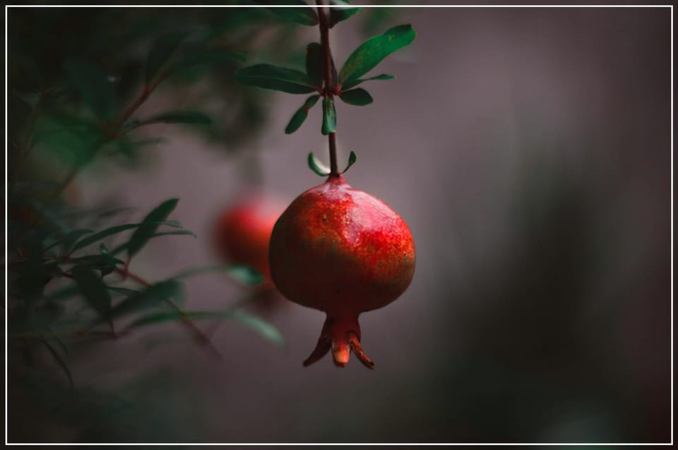 Follow me down, there might be joy at the end